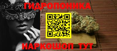 крисы Рыбинск