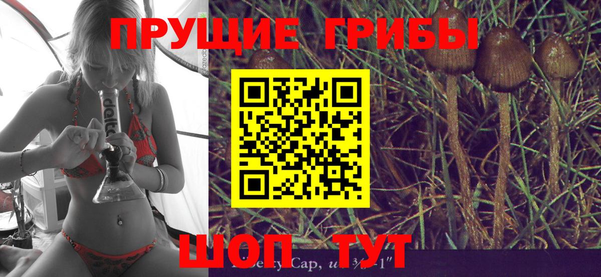 Рассказово  Псилоцибиновые грибы MAGIC MUSHROOMS  Вход с VPN 