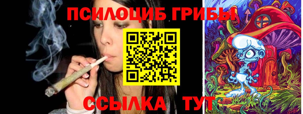 Псилоцибиновые грибы Psilocybine cubensis Рассказово